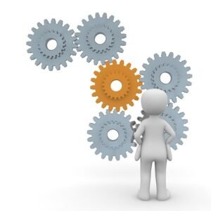 Advanced Digital Management Plan