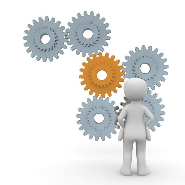 basic-digital-management